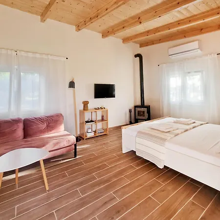 Cozy Owl's *