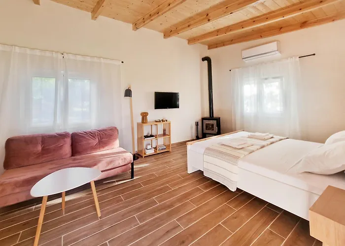 Cozy Owl's *